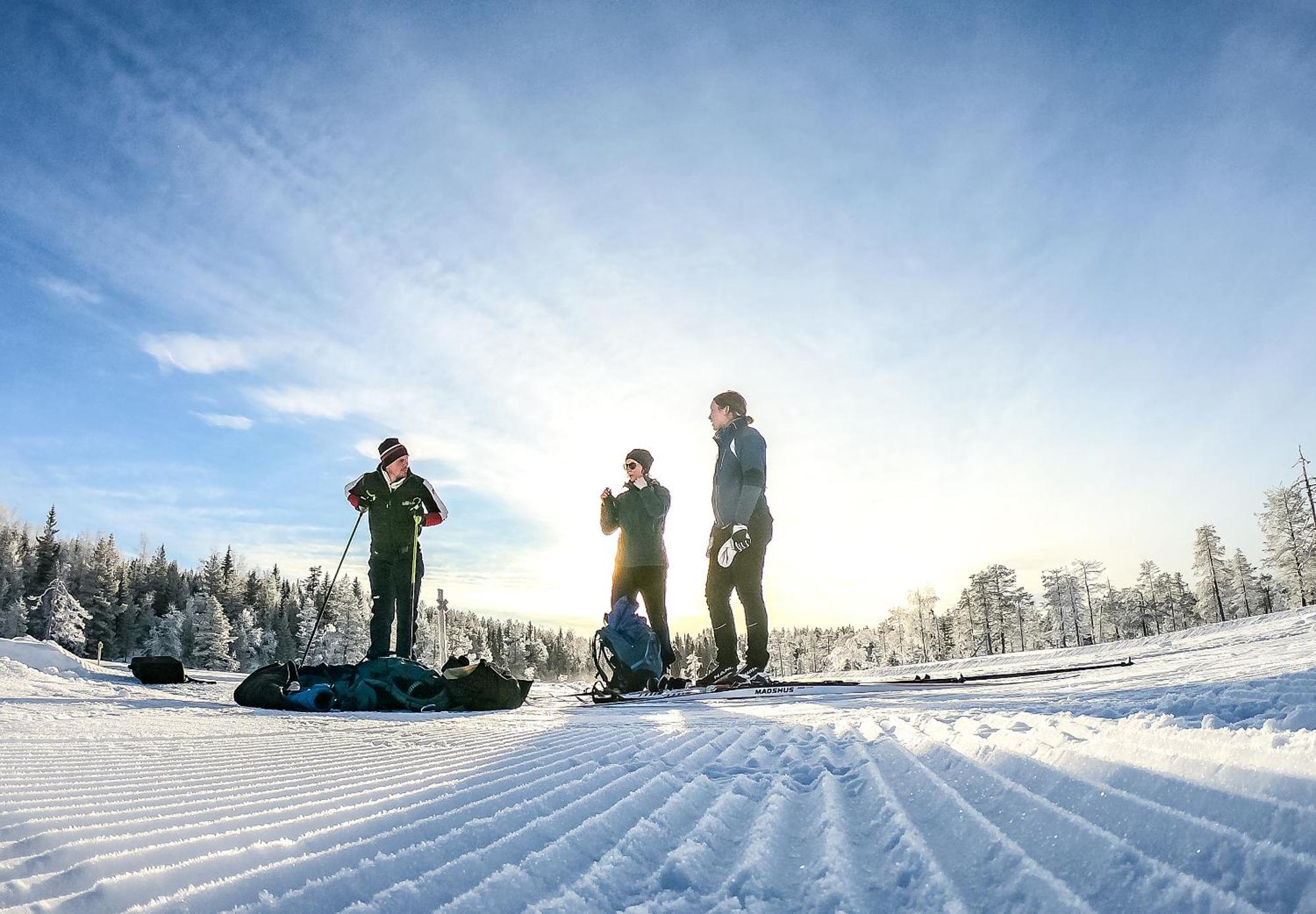 Hassela Ski Resort Экстерьер фото