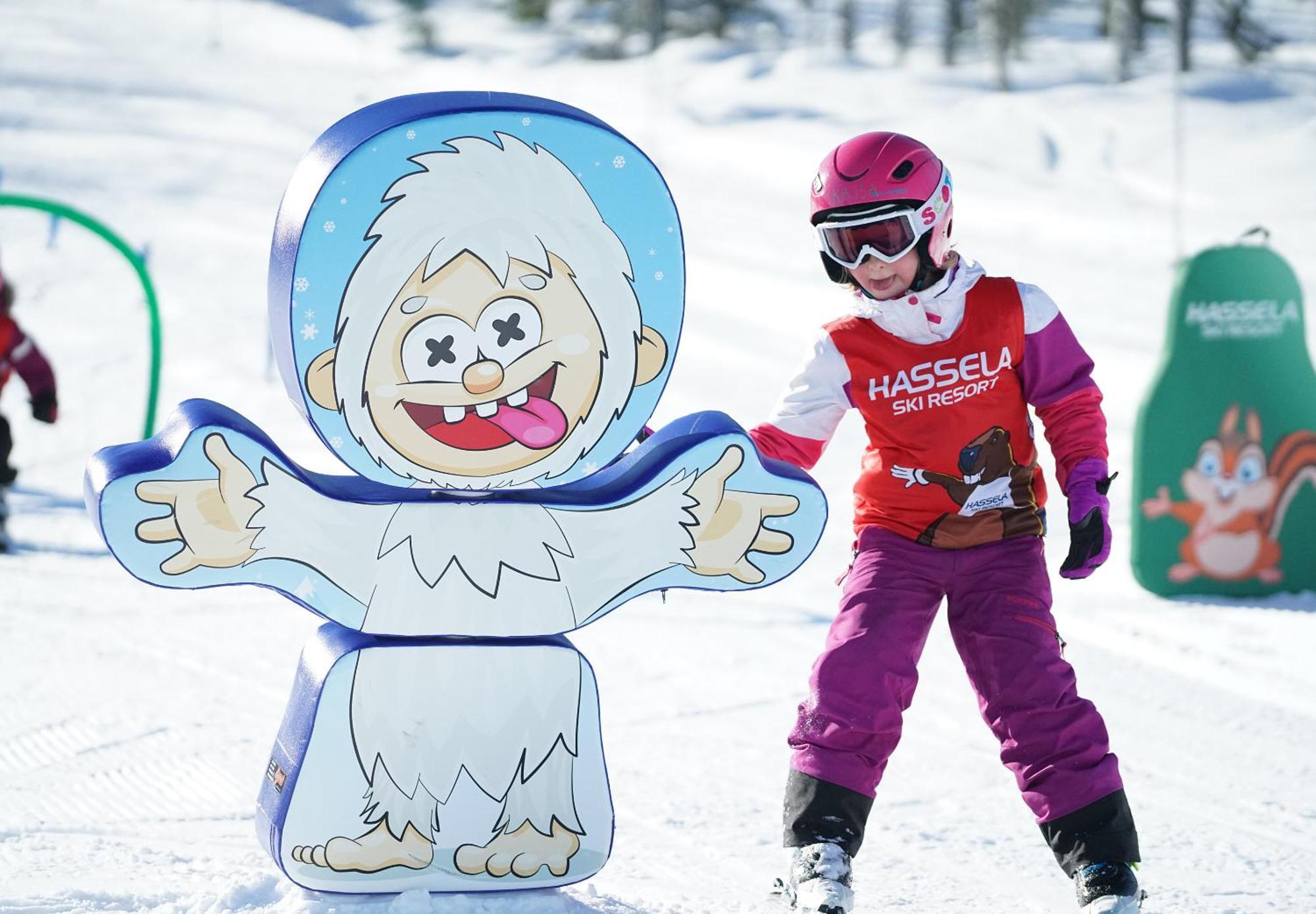 Hassela Ski Resort Экстерьер фото